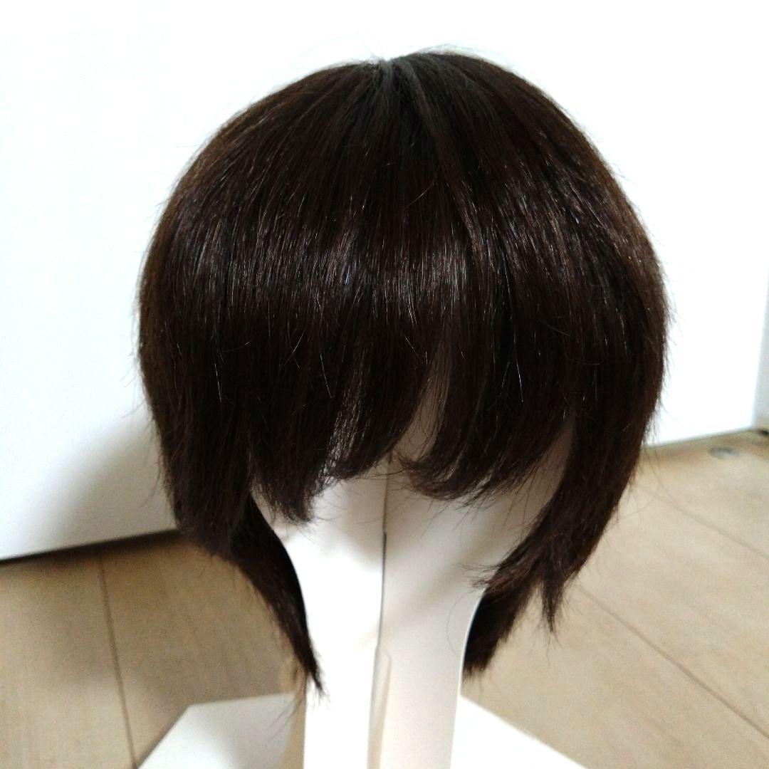 ジュリアオージェ アートネイチャーウイッグ JO/HM2 DE6 M