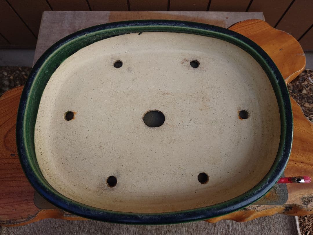 マ*。様 盆栽　鉢　真山造　幅48.7cm