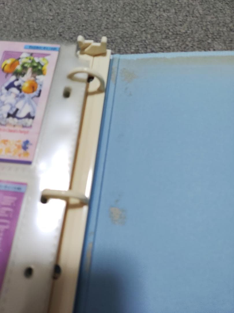 ☆フルコンプ込　トレカ175枚 + バインダー２冊　まとめて　デジキャラット