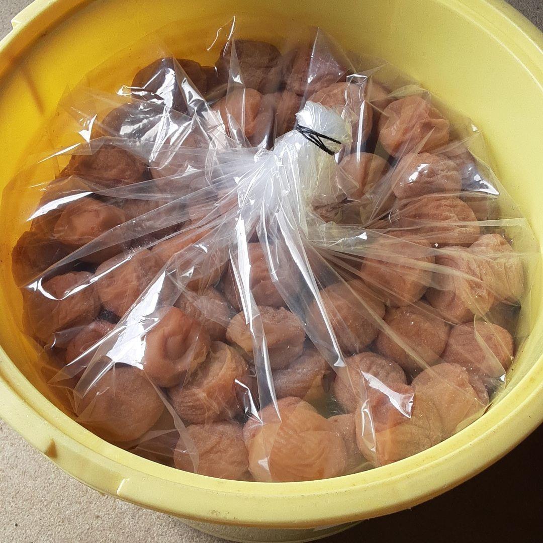コロコロジョン　梅干し10kg
