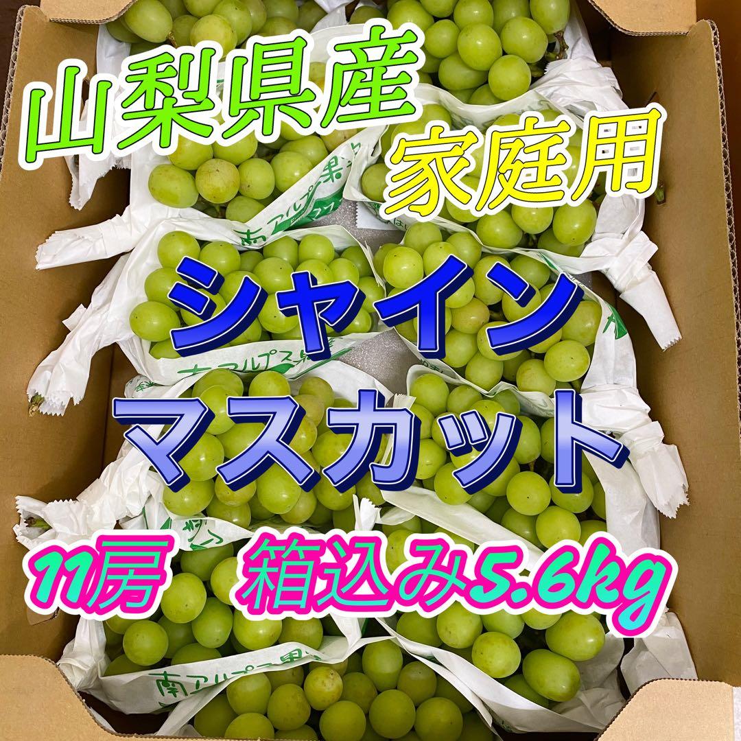 山梨県産　訳あり　家庭用　シャインマスカット　11房　箱込み5.6kg ⑬