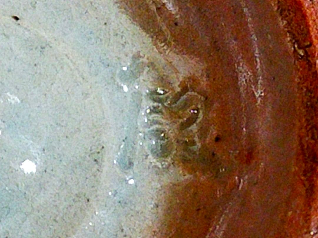 3点まとめて♥韓国♥　人間国宝　♥　青坡窯　李殷九　茶碗　桐箱付き　茶道具