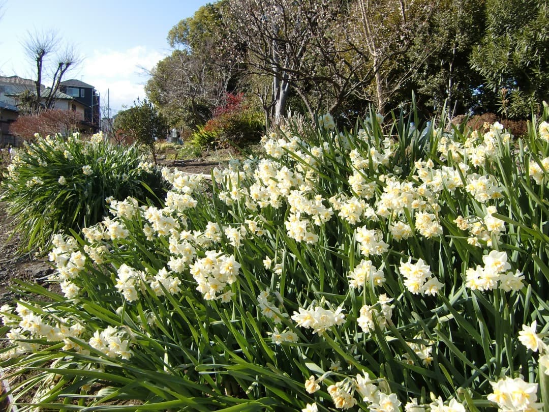 実写良⭕️【動作確認済】CASIO　EXILIM　EX-Z450　デジカメ