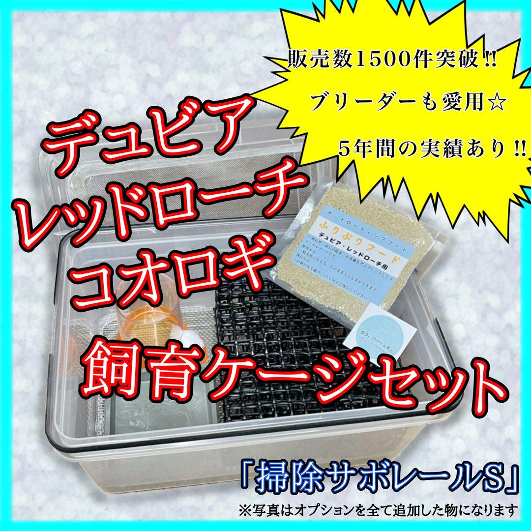 しゅん様　S(フル)