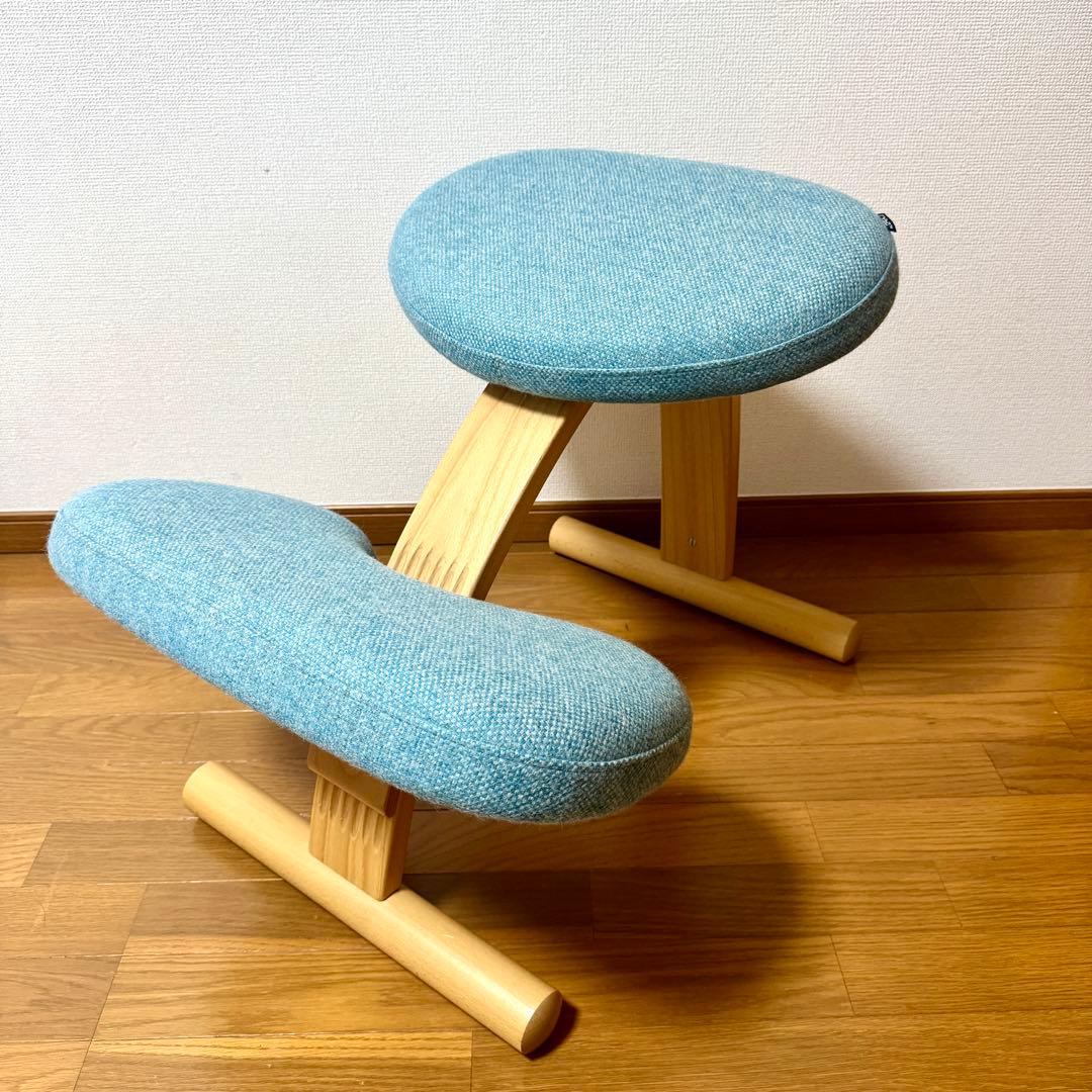 【minipham】 バランスイージー Rybo リボ社 カバー付き