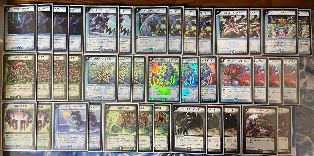 2003年インビンシブルリーグ　レギュラークラス優勝　リーフタッチ黒