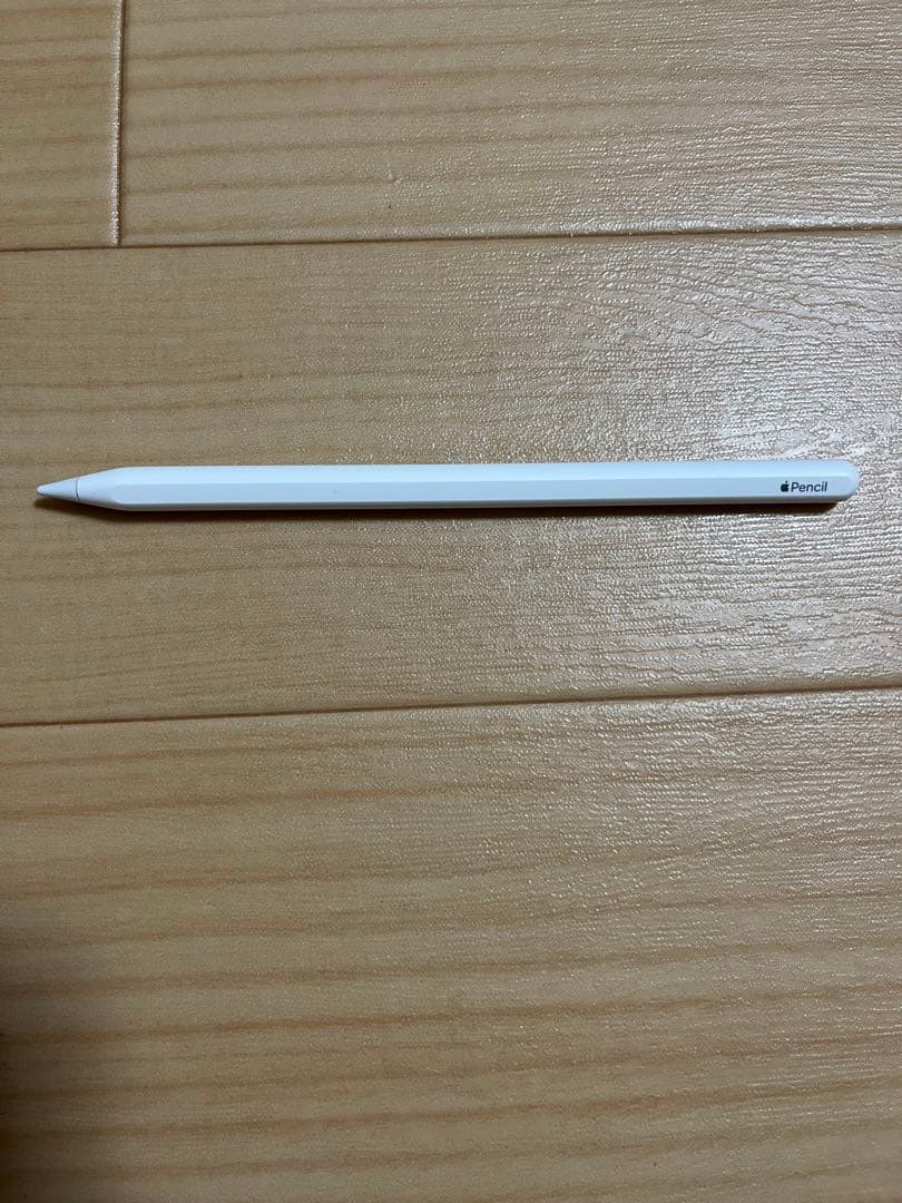 iPad pro 11インチ 第2世代 Apple pencil