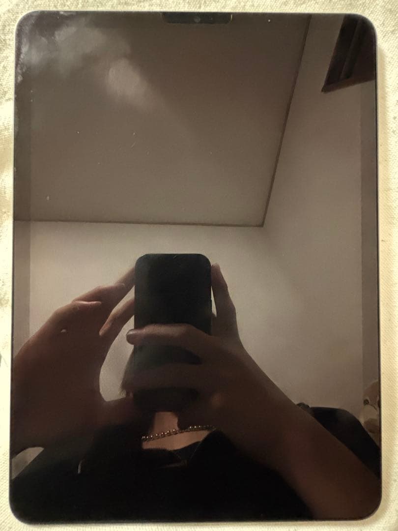 Apple iPad Pro 11インチ スペースグレー