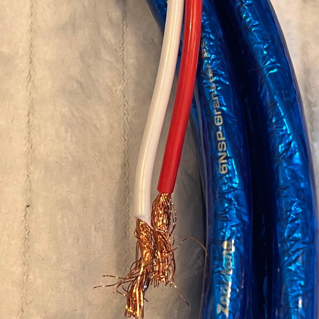 Zonotone 6NSP-2200Meister 5m ２本組(10.6m)