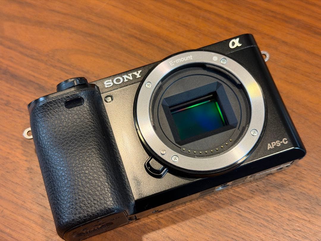 SONY α6000 ミラーレスカメラ ダブルズームキット SDカード付き