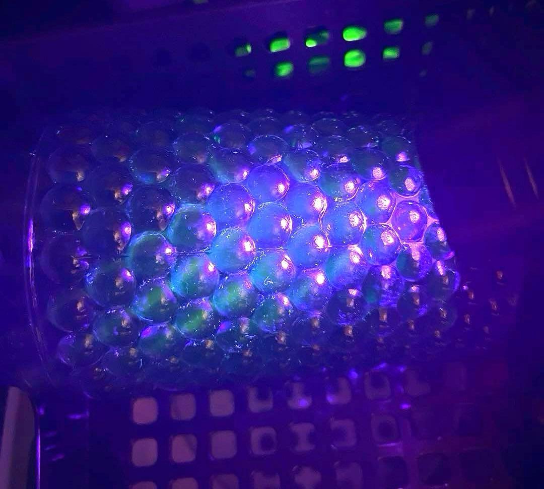 ✴︎ご成約品✴︎リピーター様　イベント割引　３点