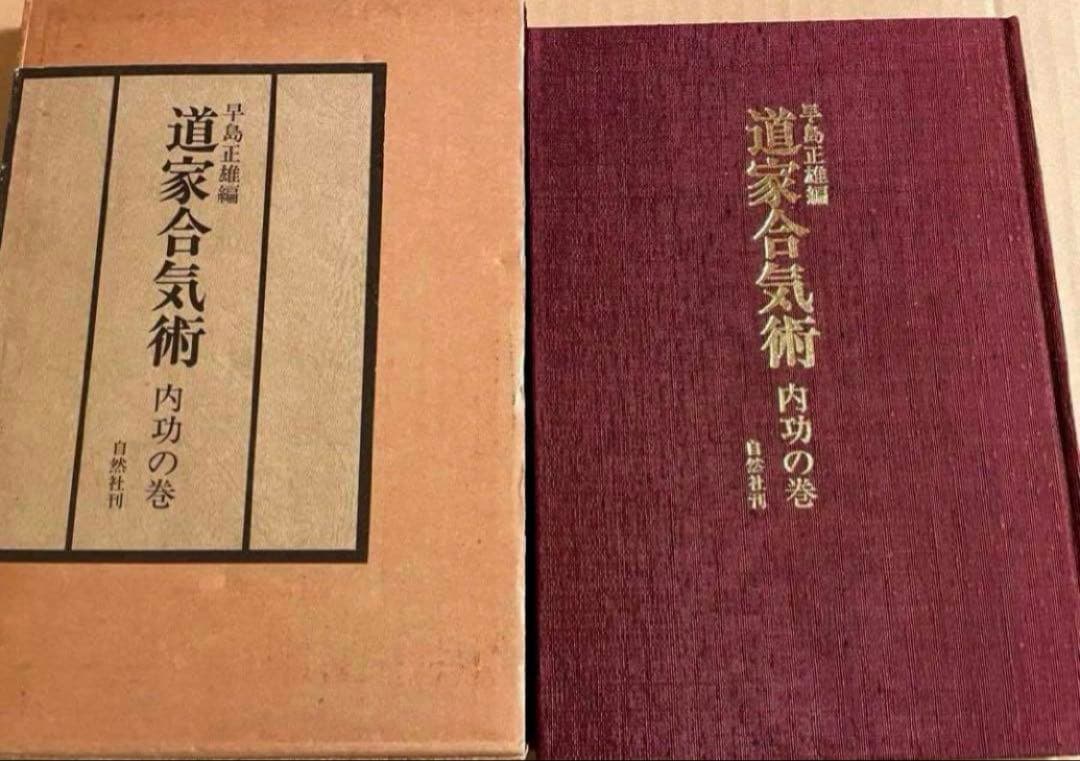 「道家合気術　内功の巻」合気道　大東流　気功