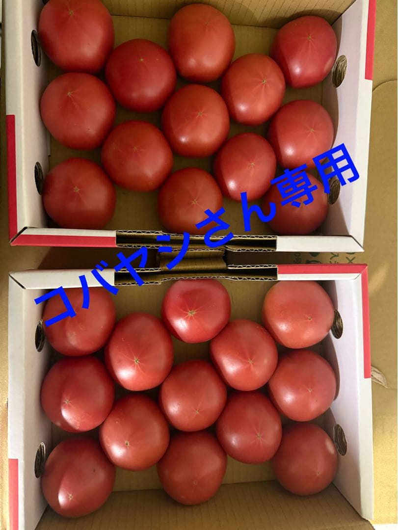 コバヤシさん専用 アメーラトマト4ケース
