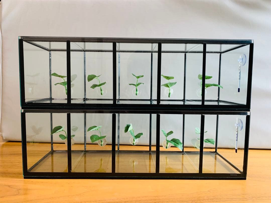 まとめ買い用です