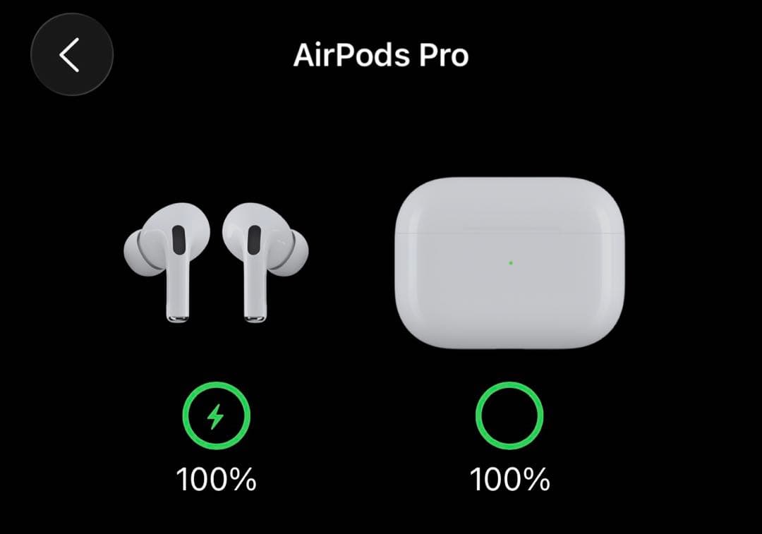 AirPods Pro 第1世代 箱付き 付属品完品