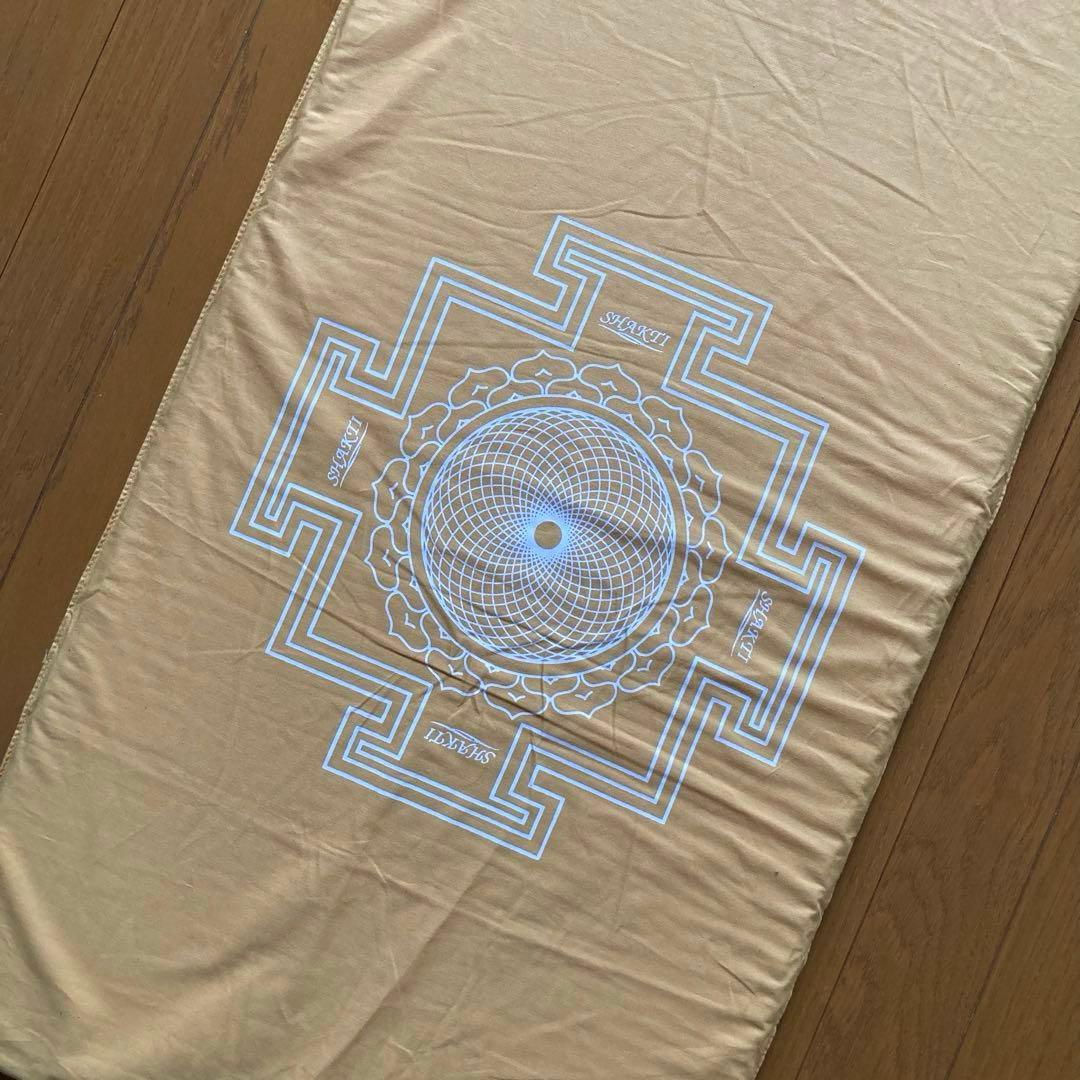 【正規品】シャクティマット＆ピロー（究極のシャクティセット）Light