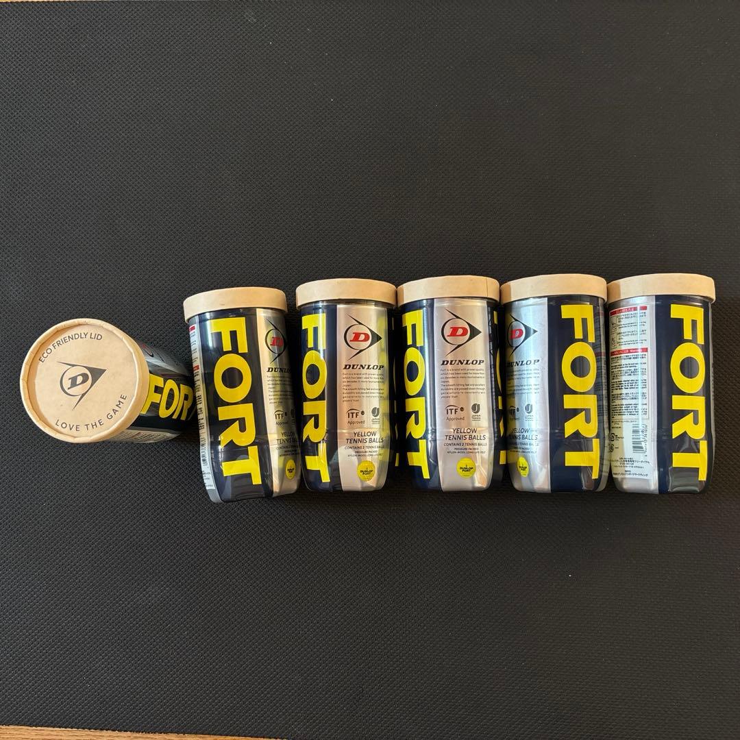 ダンロップ　ポール　2球✖️18缶