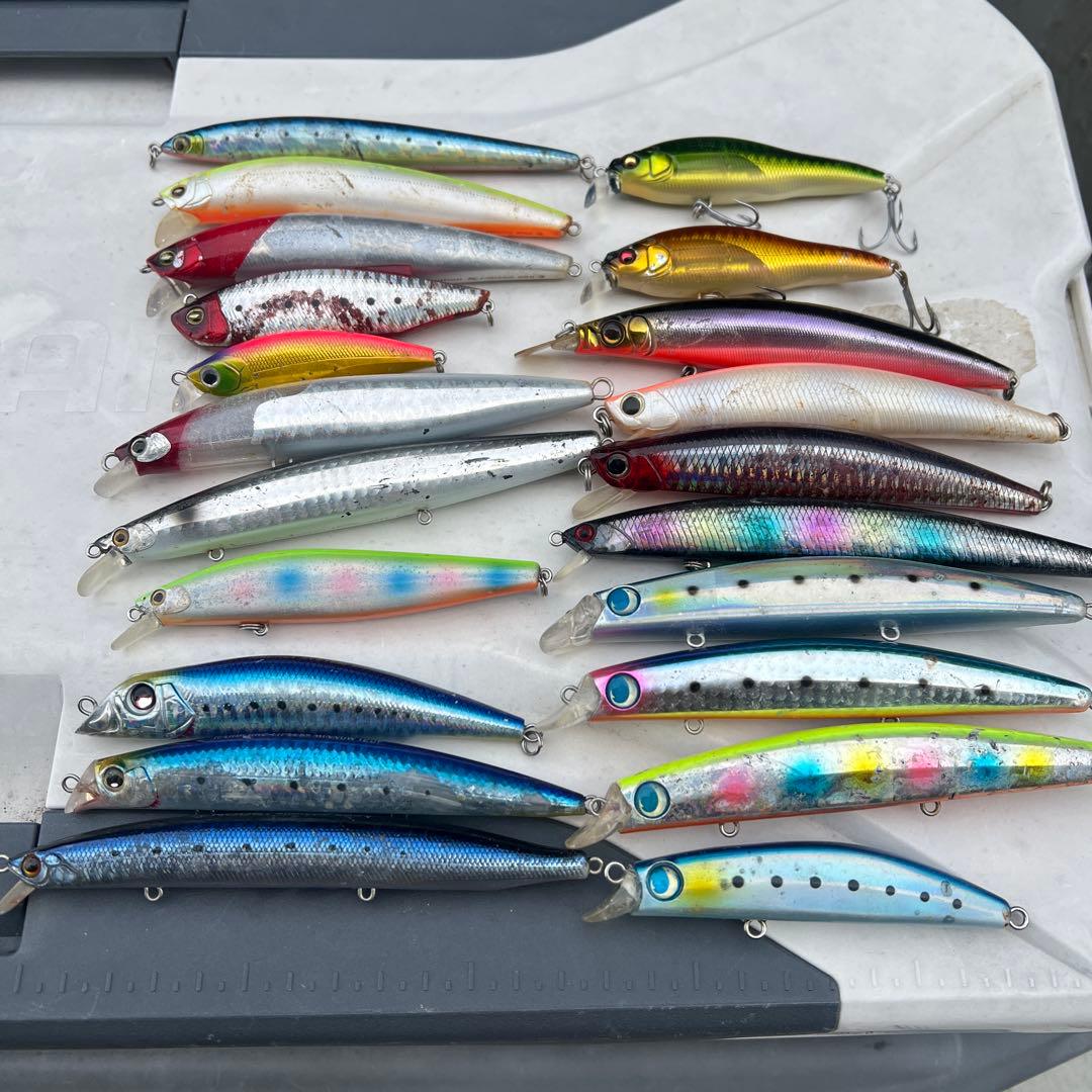 シーバス、ヒラスズキ、ヒラメ