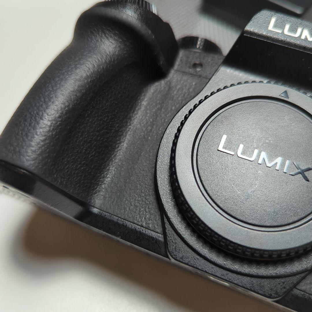 LUMIX DMC-G8 ミラーレス一眼カメラ レンズセット