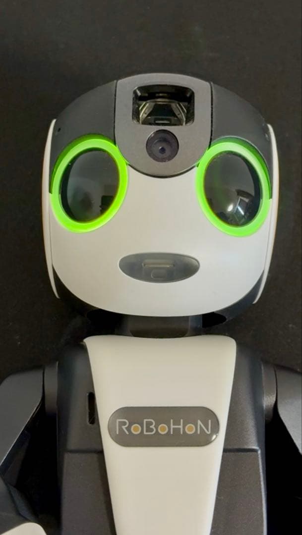 【動作確認済】シャープ ロボホン RoBoHoN SR-01M 付属品完備