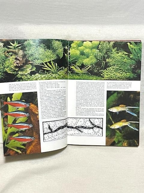 超希少ダッチアクアリウムの聖書 Das Wunder im Wohnzimmer