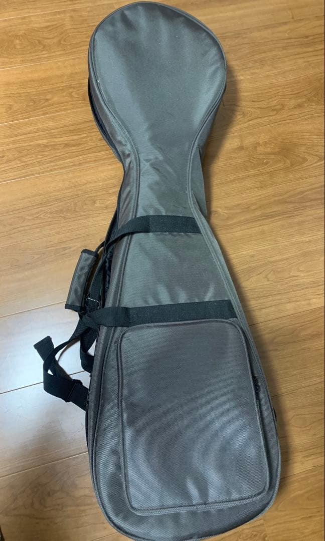 津軽三味線本体 太棹 ソフトケース付き 本皮破れ無し