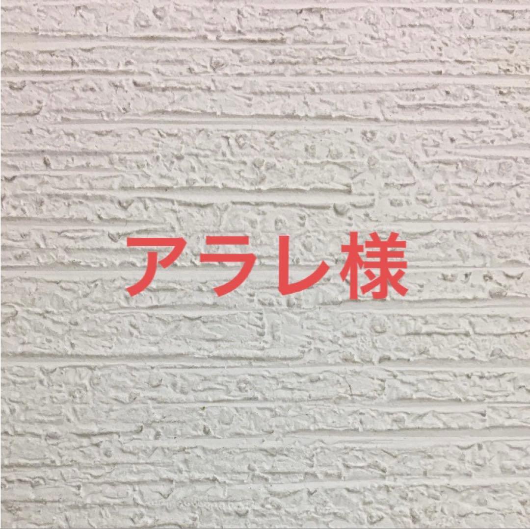 グレインフリーアダルトサーモン10キロ