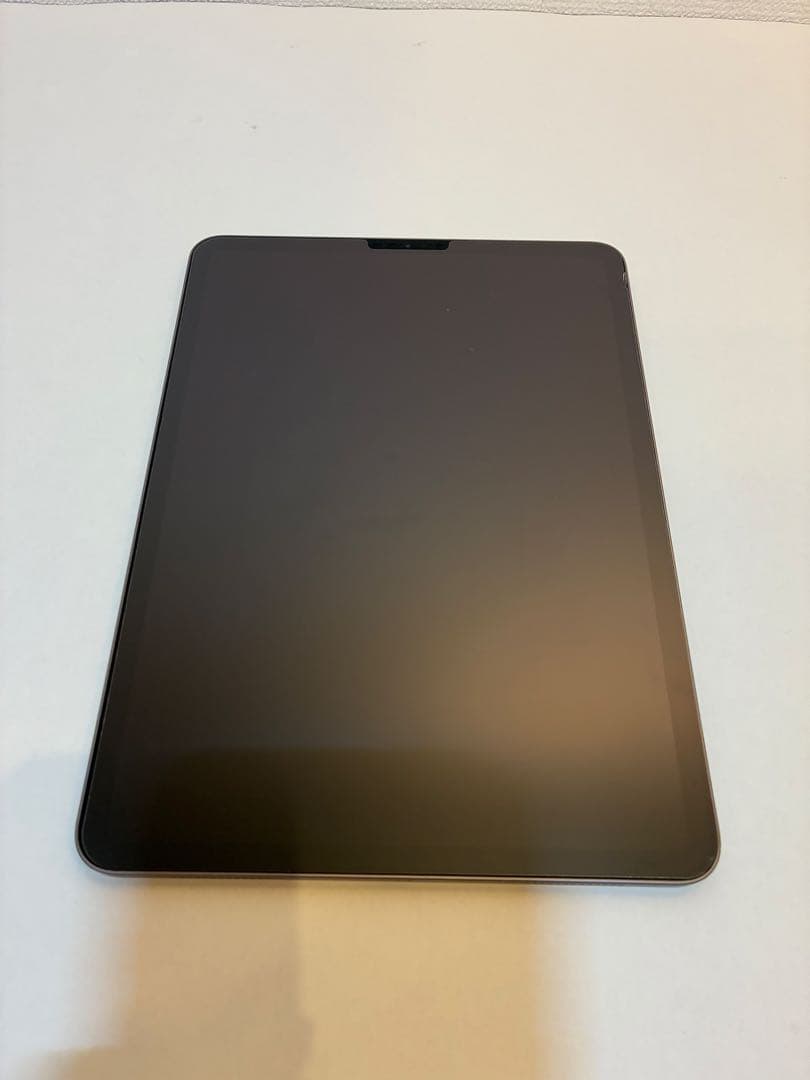 iPadPro11インチ第２世代256GB Wi-Fiモデル 最大容量84％