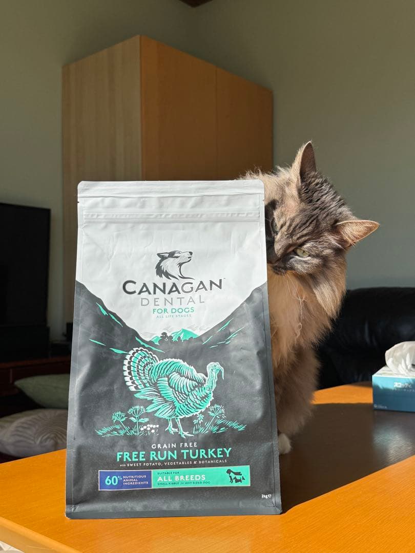 CANAGAN DENTAL グレインフリー 2kg x 4袋