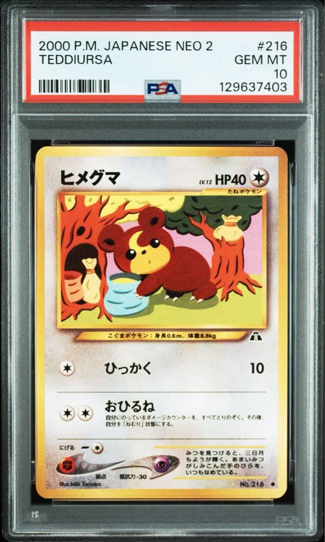 【PSA10】ポケモンカード　旧裏　ヒメグマ　neo