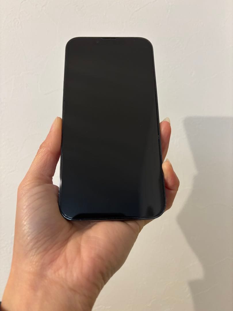 Apple iPhone 13 Pro 128GBシエラブルー　背面割れ有り