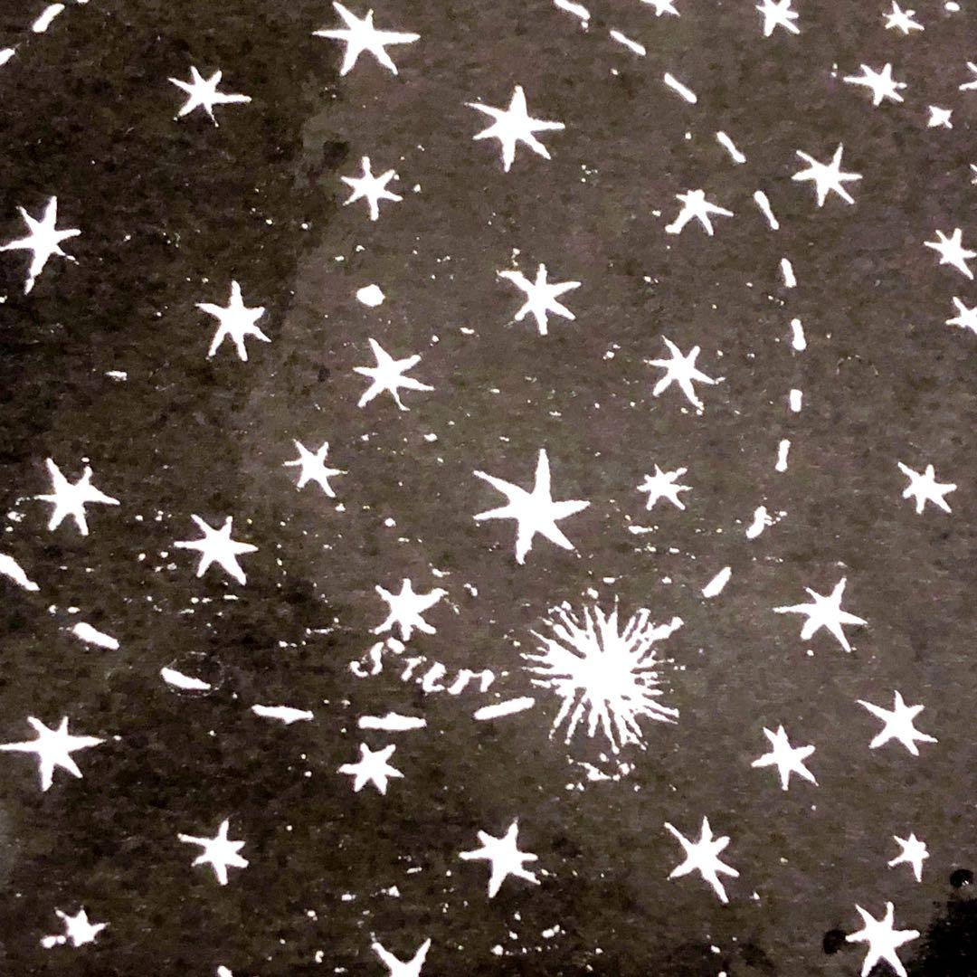 未使用　ラージサイズ　アスティエ　ジョンデリアンコラボ　スタープレート