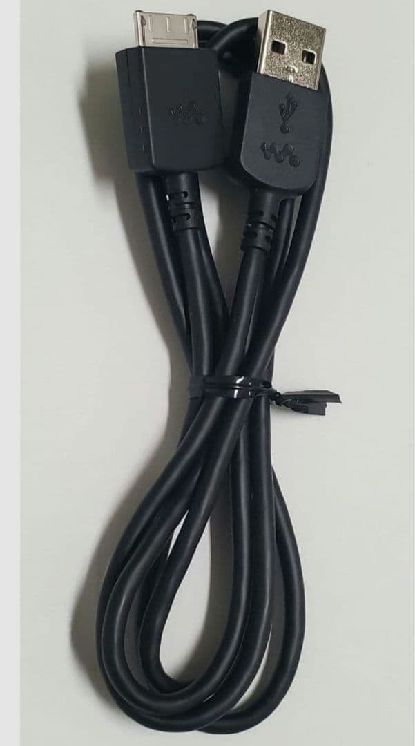 ソニー SONY NW-ZX2 ソニー純正充電ケーブル付き