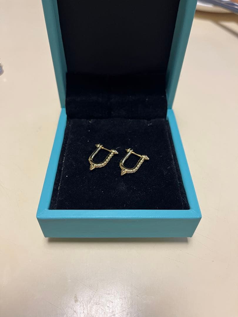 登坂広臣着用Tiffanyタイタンピアス