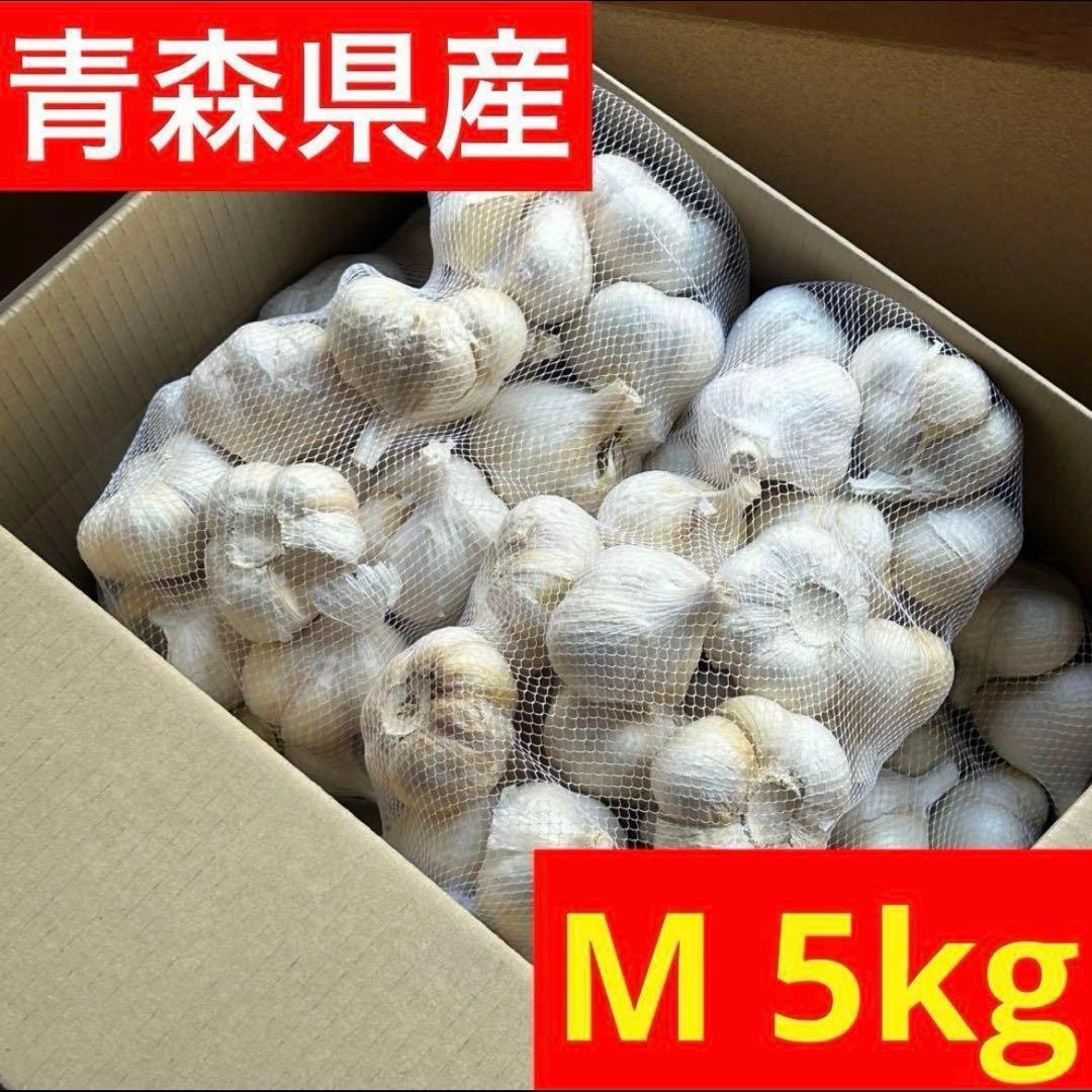 【お買い得セール】青森県 福地ホワイト にんにく M 5kg 　黒にんにく加工