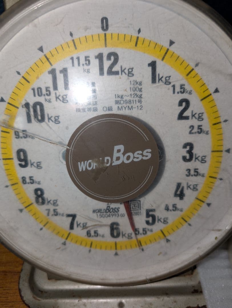 山梨県産ぶどう　シャインマスカット　11房入り　箱込み約5.5kg