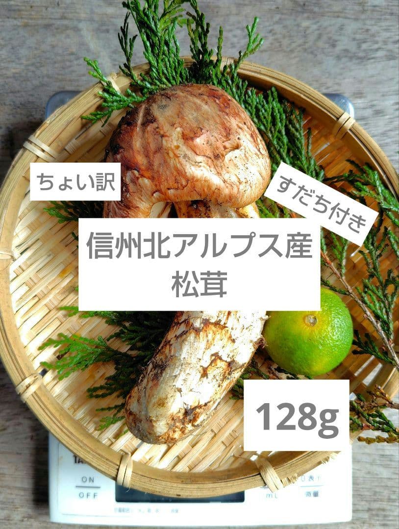 〖ちょい訳アリ〗松茸 128g すだちつき 信州 天然きのこ 長野 国産