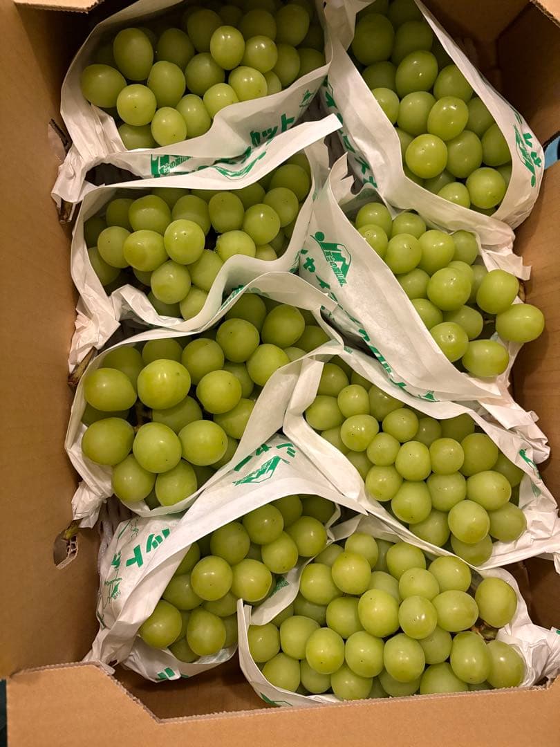 山梨県産　特大　シャインマスカット　8房セット　5kg