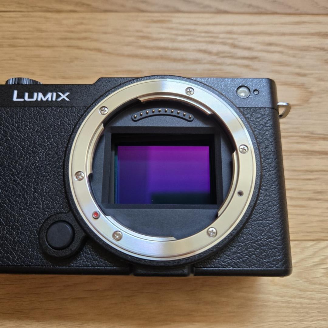 panasonic LUMIX DC-S9 S9 ブラック ボディのみ