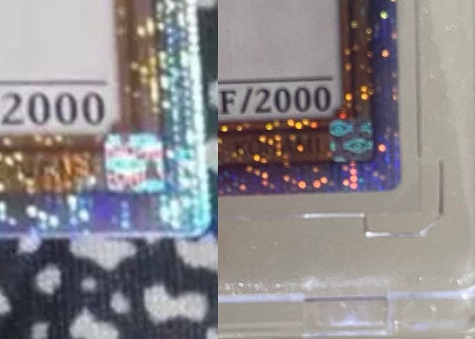 遊戯王　ロン様　確認用