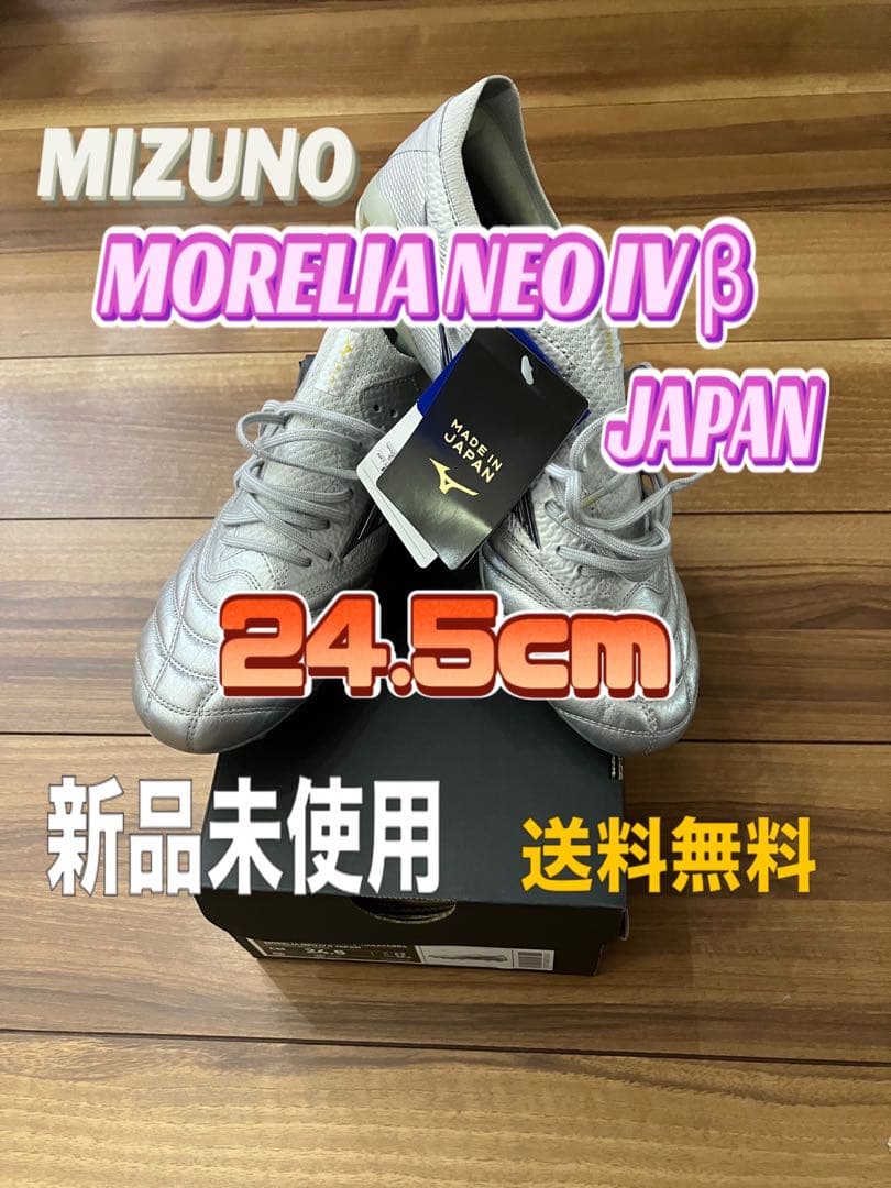 5*1様 モレリアネオ4 β 24.5cm