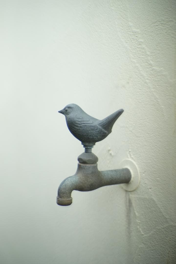 フィルムカメラ ZEISS IKON Contax IIIa /Sonnar 50mm F1.5