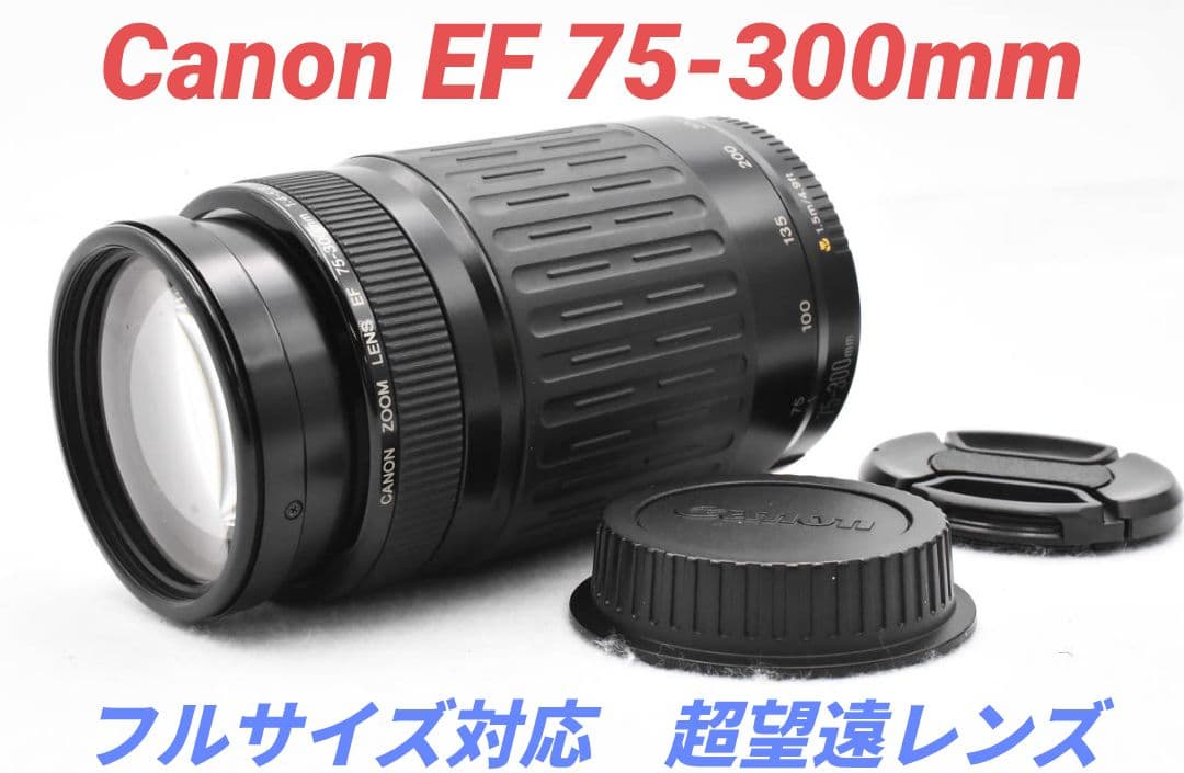 11月23日限定販売♪【超望遠レンズ】Canon EF 75-300mm