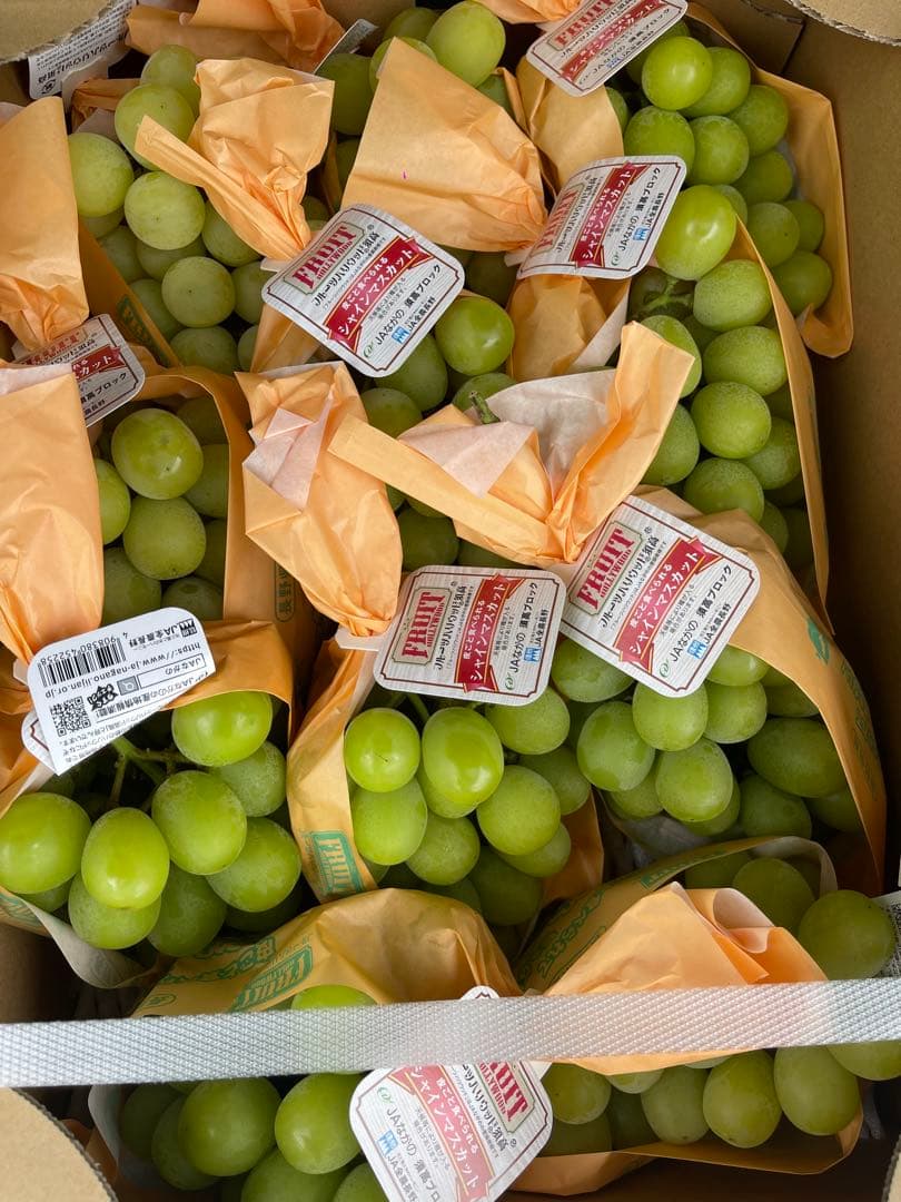 M♡リンク 長野県シャインマスカット11房5キロ高級品質