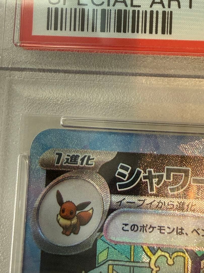 PSA10シャワーズex SAR SV8aテラスタルフェスex205/187