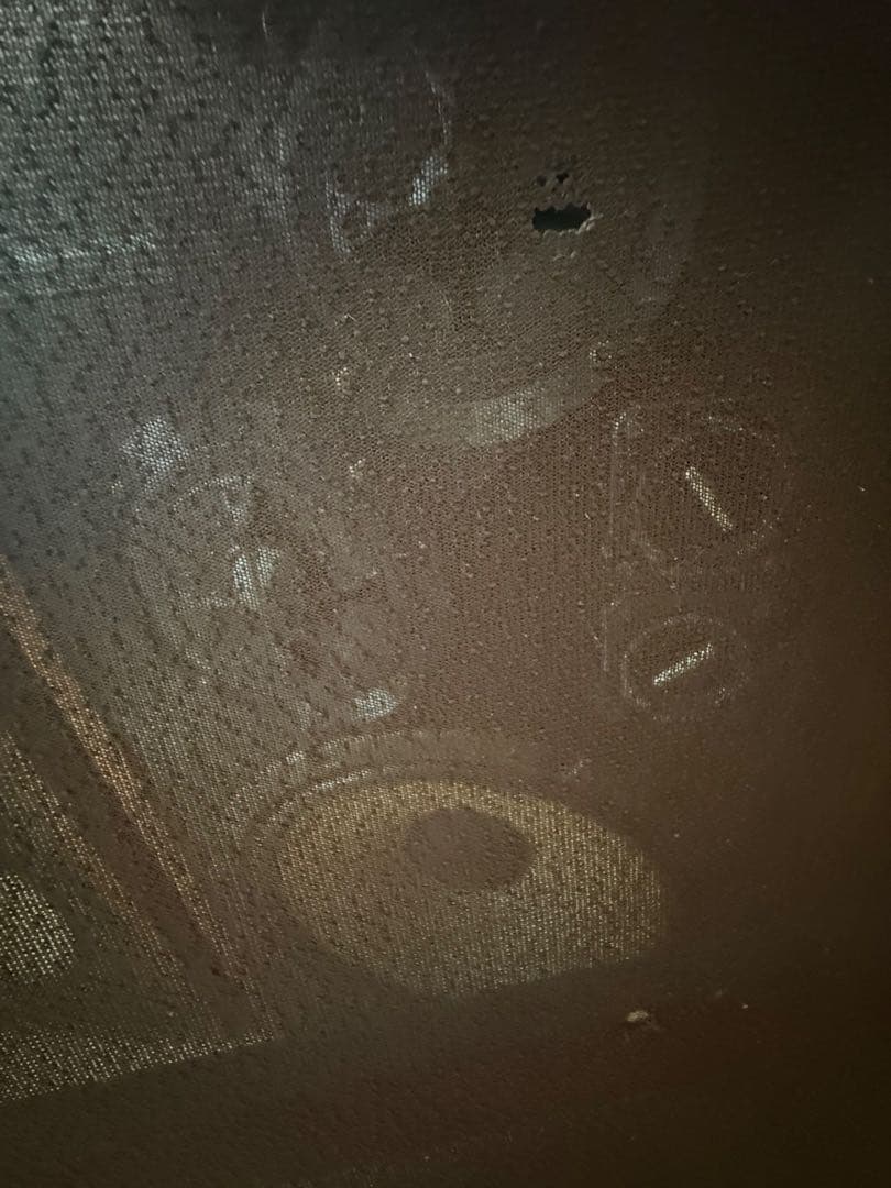 【レア・ヴィンテージ】SONY CARBOCON SS-5050 スピーカーペア