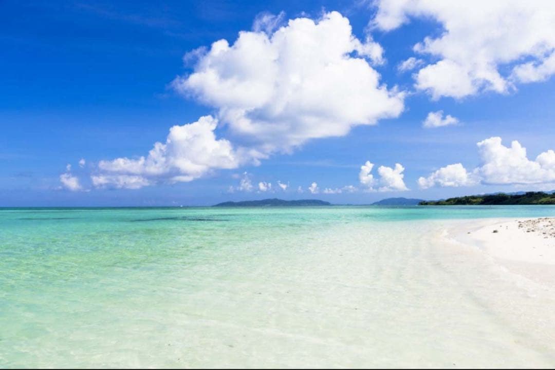 モッチー様　ラフィア　かごバッグ　モカ　サンローラン好きな方