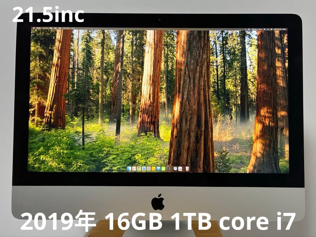 iMac 21.5インチ 2019｜16GB /1TB / RETINA 4K