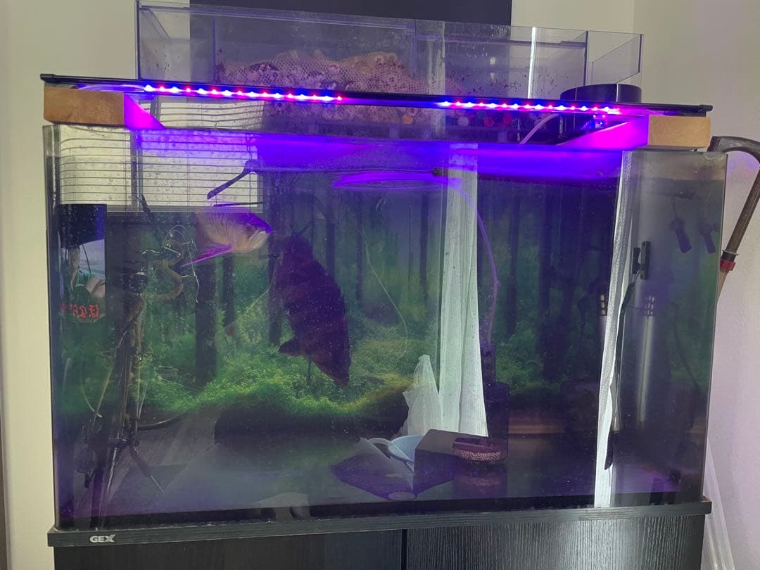 ガラス水槽セット　90センチ　引き取り限定