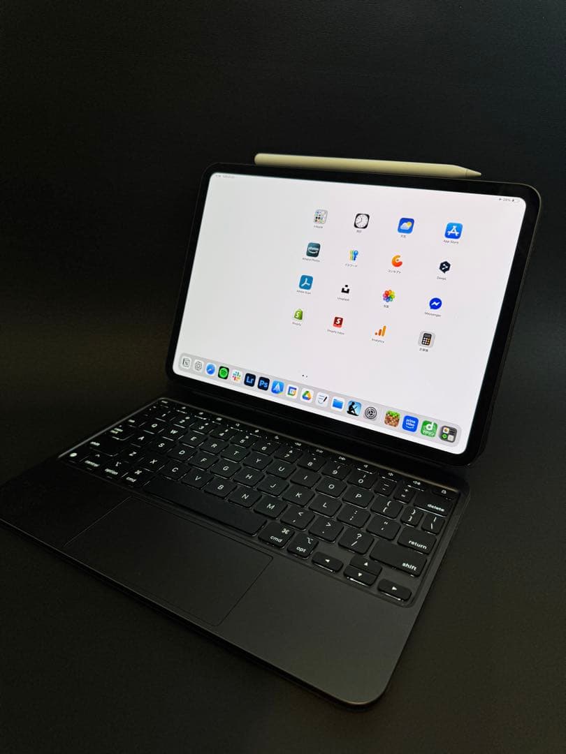 iPad Pro 11インチ (M4) 512GB 2点セット